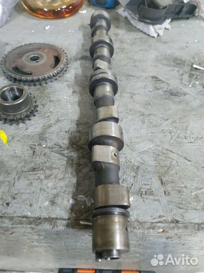 Звёзды, распредвал, грм 23DTR