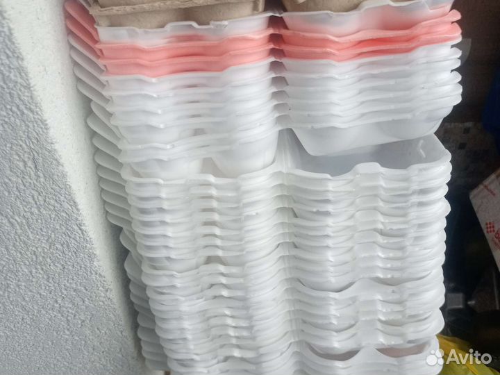 Ячейки для яиц