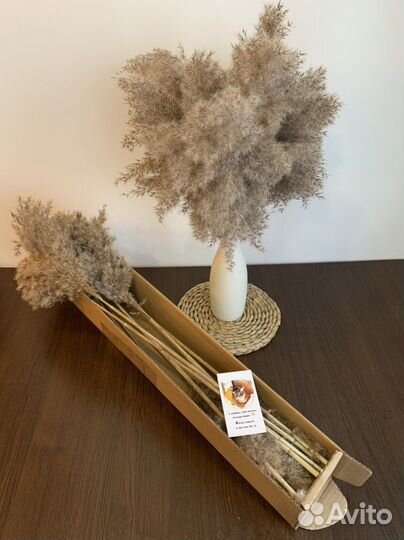 Букет из сухоцвета для декора