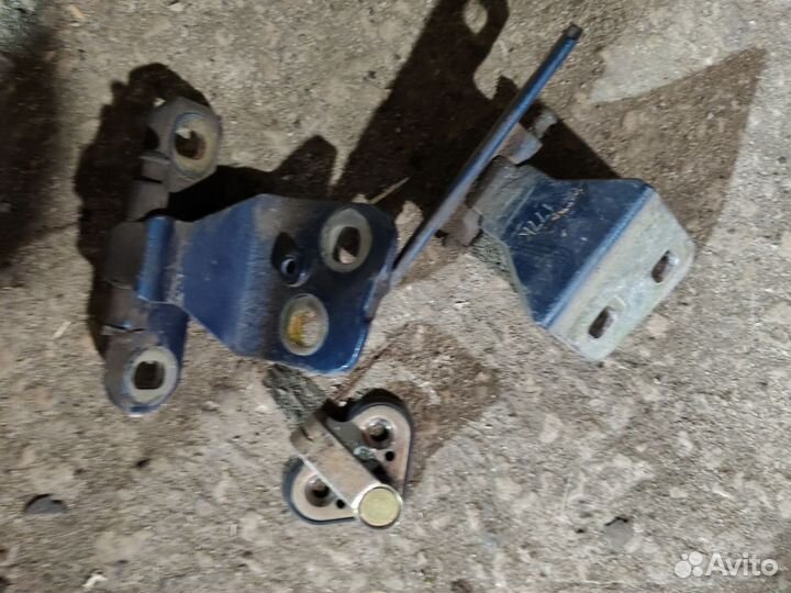 Петля лагуна 1