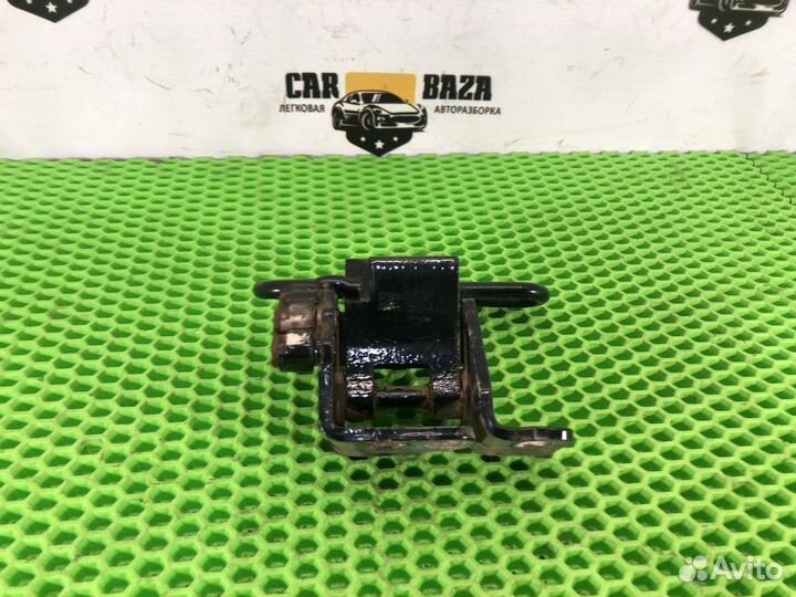 Петля двери передней правой нижняя R