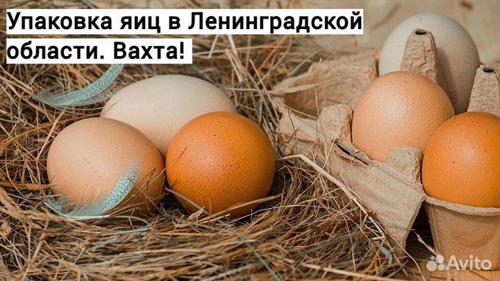 Вахта 30 смен. Маркировщик. Питание + Проживание