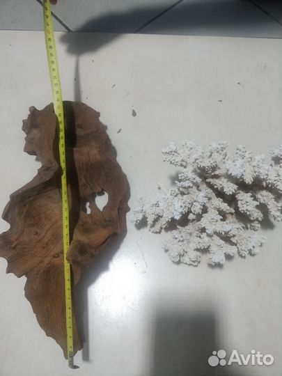 Все для аквариума