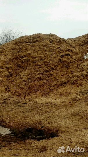 Перегной конский