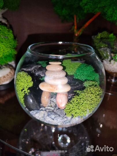 Моссариум со стабилизированным мхом.Декор.Подарок