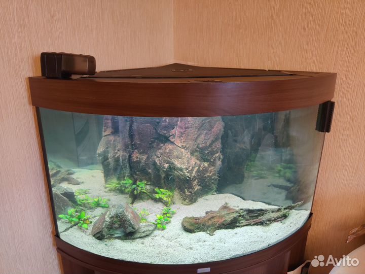 Аквариум Juwel Trigon 190 с тумбой угловой