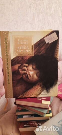 Книга джунглей