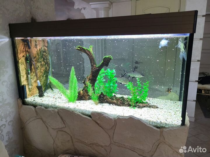 Аквариум