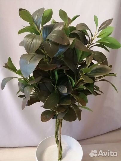 Искусственные цветы, фикус макламе