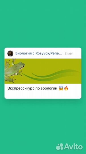 Эспресс-курс по зоологии