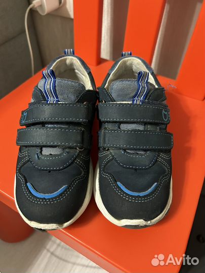 Кроссовки котофей