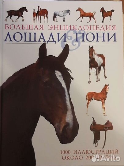 Большая энциклопедия лошади пони