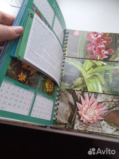 Миллион цветов для красоты вашего дома Т.Князева