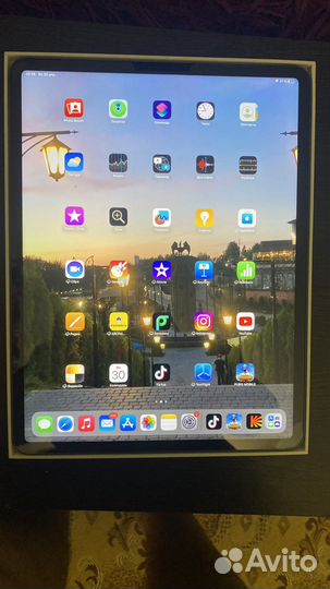 iPad pro 12 9 2021 256 gb