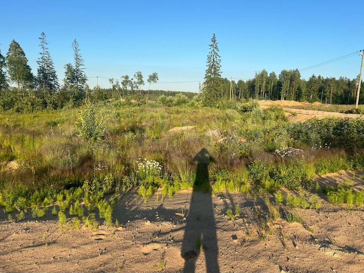 Участок 12 сот. (СНТ, ДНП)