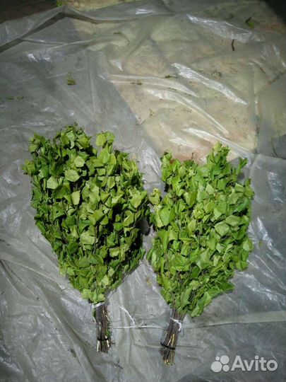 Березовые,липовые и пихтовые веники продаю