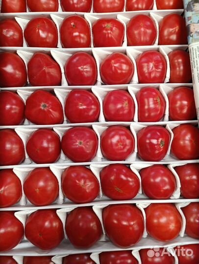 Помидоры свежие