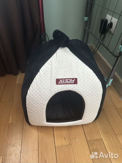 Одежда для собак мелких пород