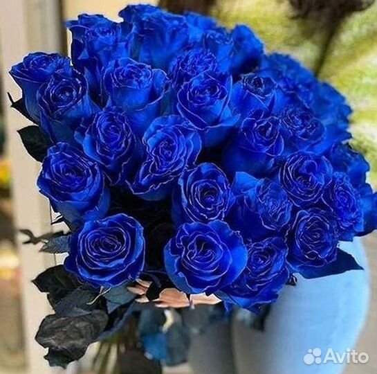 Синие розы Доставка цветов