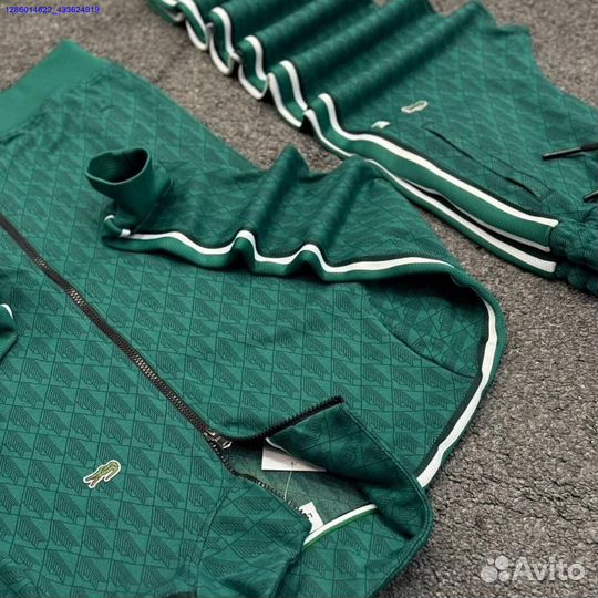 Спортивный костюм lacoste (Арт.54544)