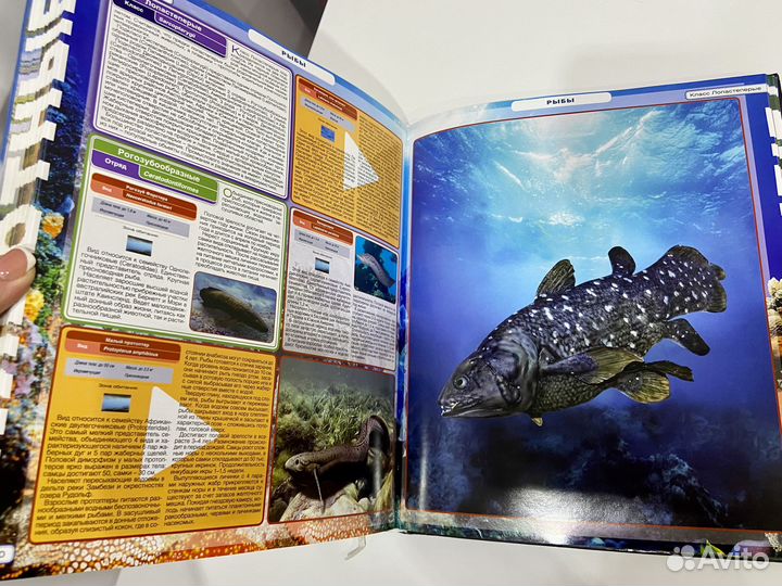 Книги Энциклопедия животных, Карты России