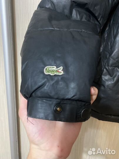 Пуховик lacoste