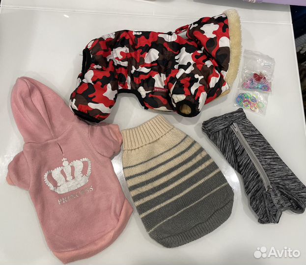 Одежда для собак мелких пород