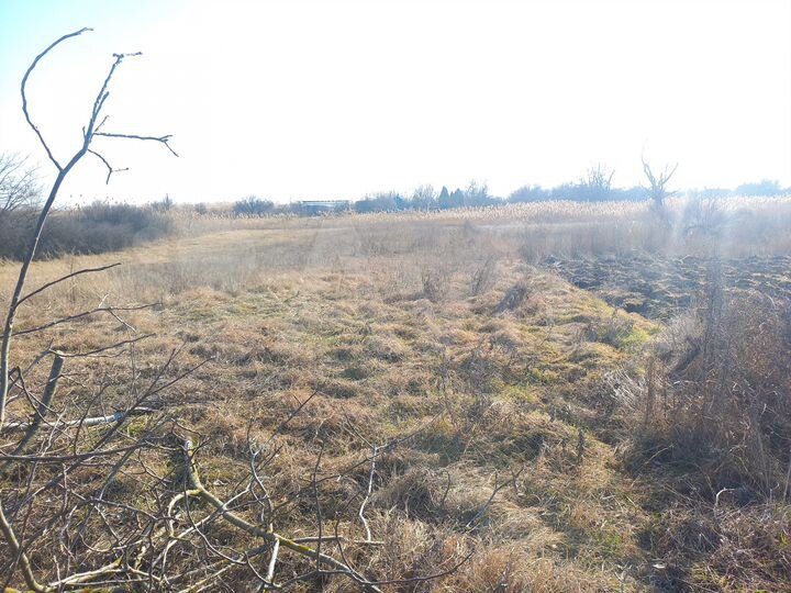 Дом 41,5 м² на участке 25 сот.