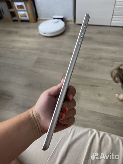 iPad