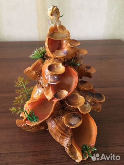 Ракушка сувенир