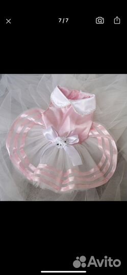 Платье для маленькой собачки