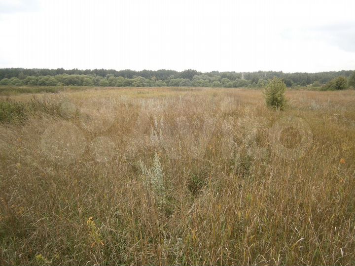 Участок 30 сот. (ИЖС)