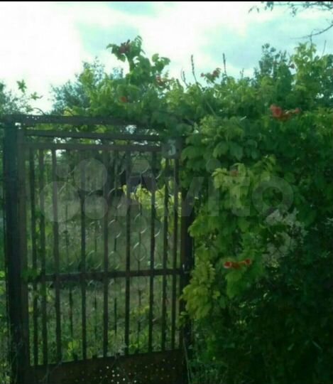 Участок 9 сот. (СНТ, ДНП)