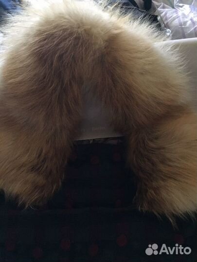 Меховой воротник лисы