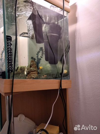 Аквариум с тумбой, рыбками и 1 фильтром