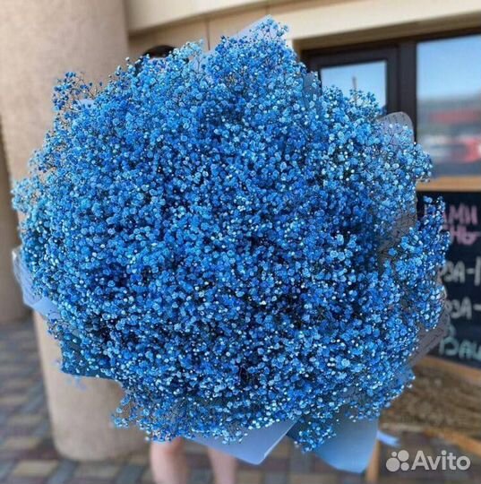 Гипсофила Белая Цветная Букет / Композиция