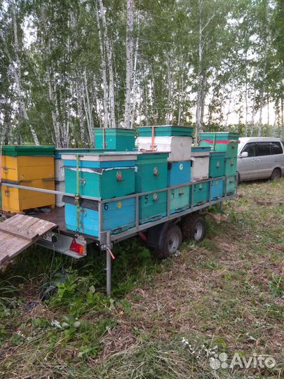 Прицеп легковой двухосный для перевозки пчел бу
