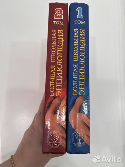 Большая школьная энциклопедия 2 тома