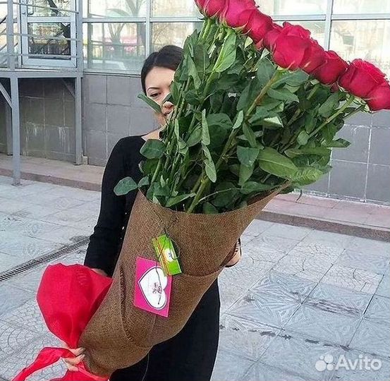 Высокие розы Гигантские розы 110