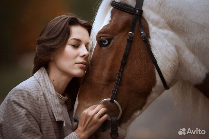 Аренда кареты, катание на лошадях, фотосессии