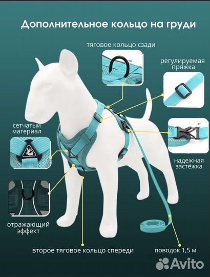 Шлейка для собак и кошек