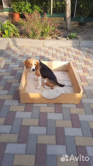 Ящик родильный для собак