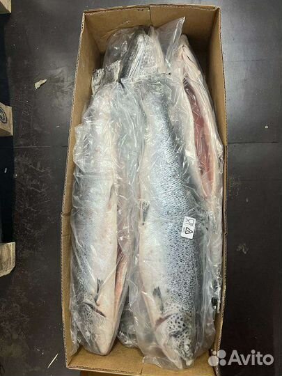 Семга свежемороженая. Возможна доставка по Химкам