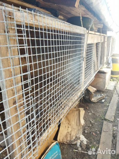 Клетки для кроликов