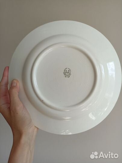 Тарелка Синица, зик, Конаково