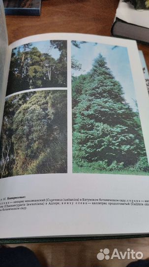 Жизнь растений в 7 томах, 1974г