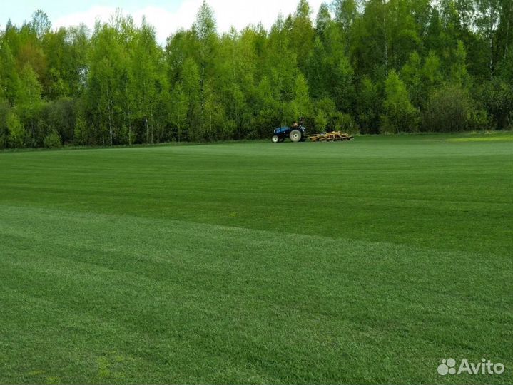 Рулонный газон 