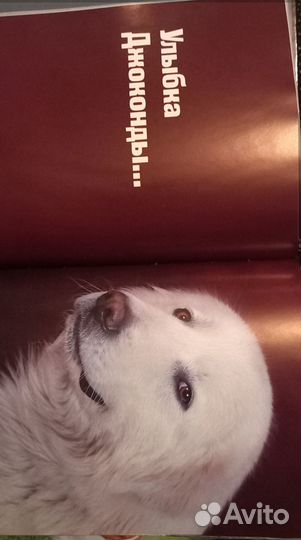 Книга альбом для любителей собак
