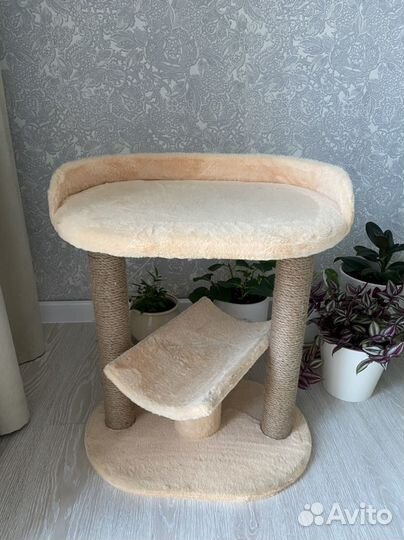 Когтеточка для кошки