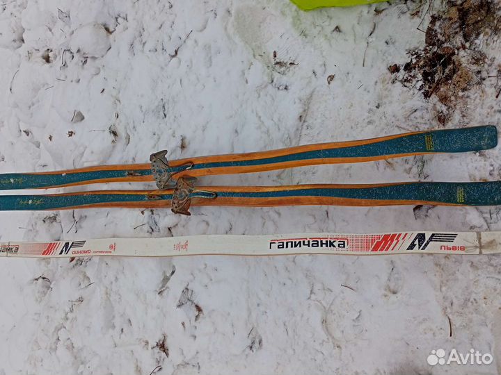 Беговые лыжи